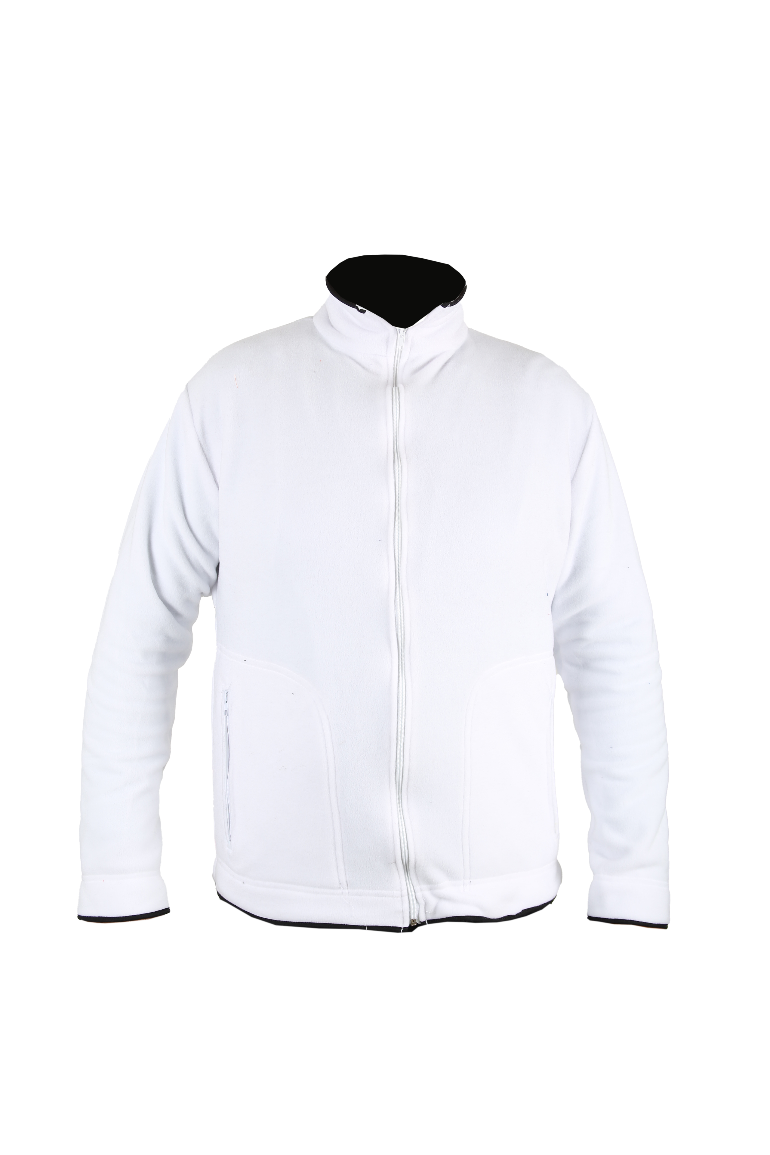 Duks i Bardhë Polar